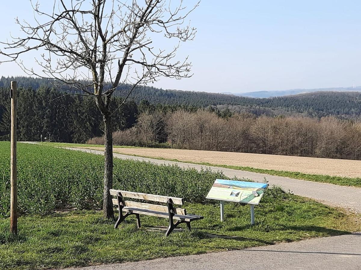 Ferienwohnung Sternfeld Osburg 外观 照片